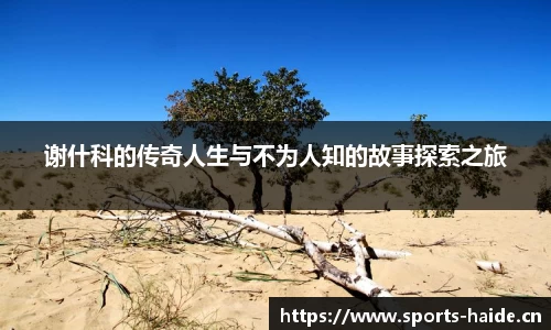 海德体育官方网站