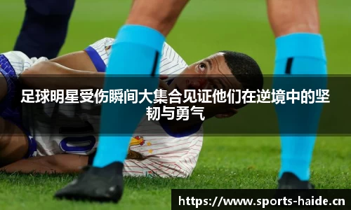 海德体育官网